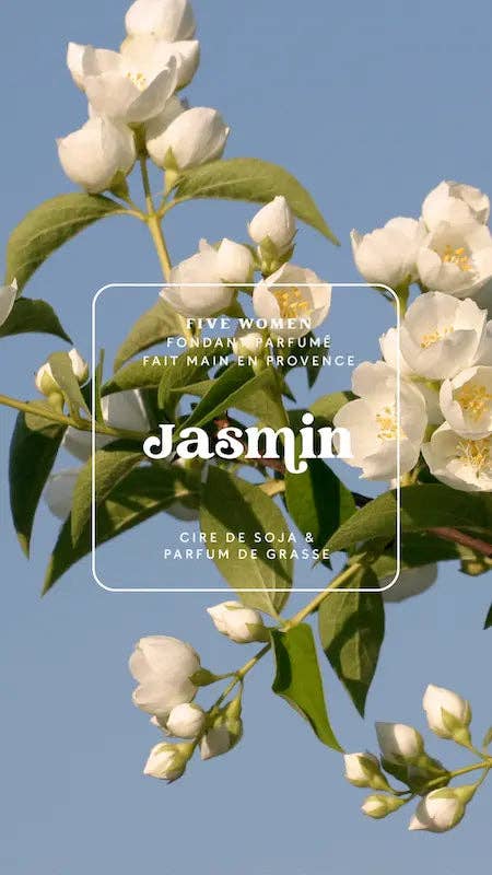 Fondants parfumés Jasmin 6 carrés - Cire parfumée artisanale