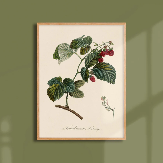 Poster A3 fruits - Atelier Bigarade