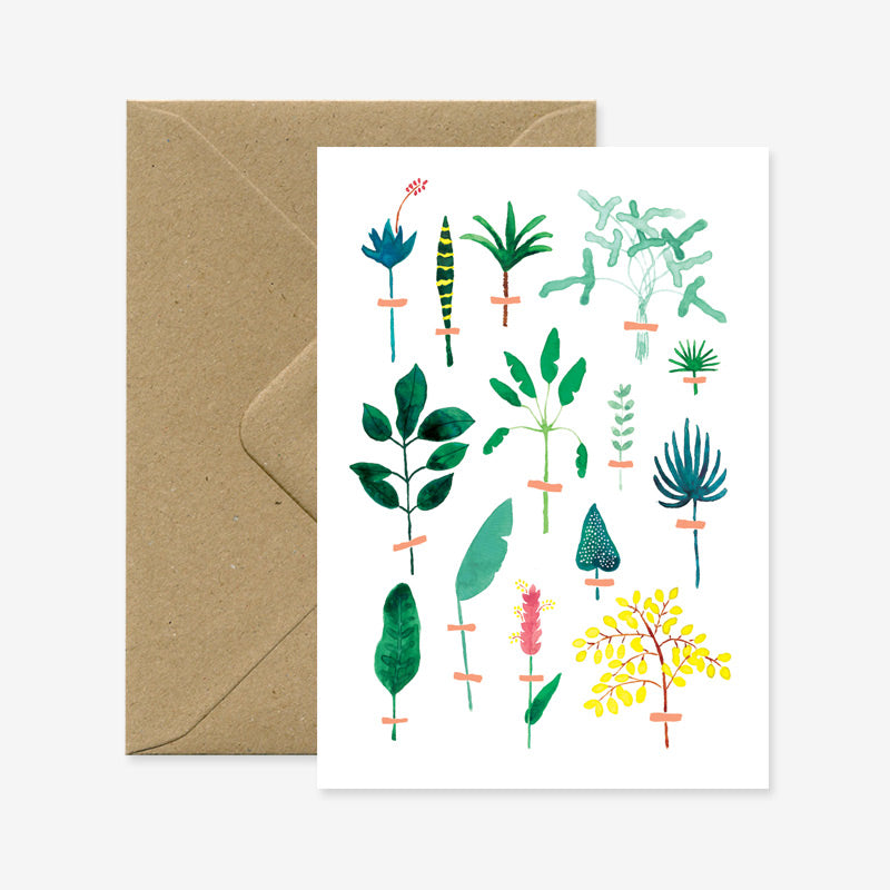 Carte Herbier exotique