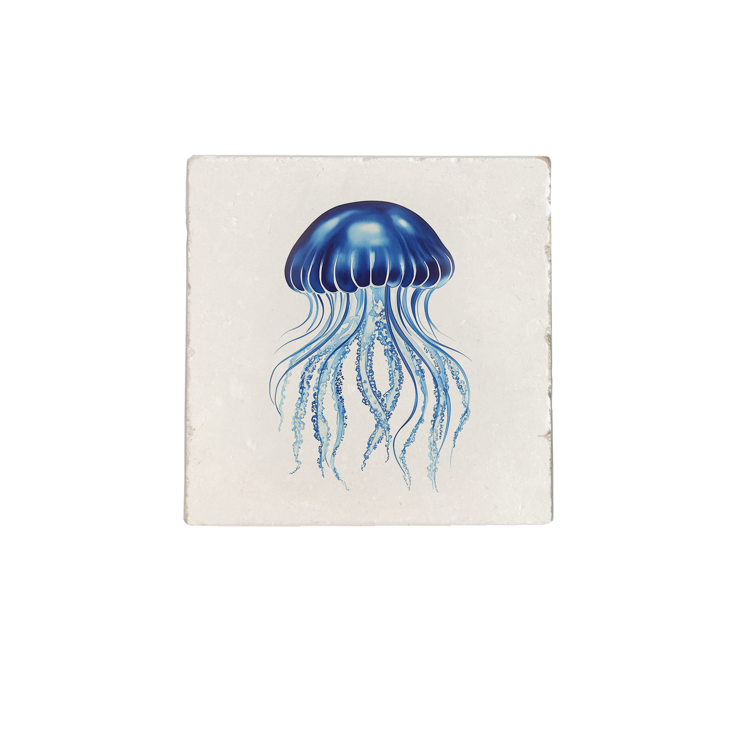 Carreau Jellyfish pierre naturelle gravée