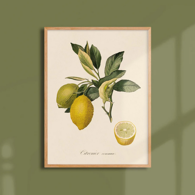 Poster A4 fruits - Atelier Bigarade