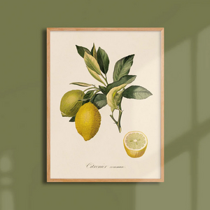 Poster A3 fruits - Atelier Bigarade