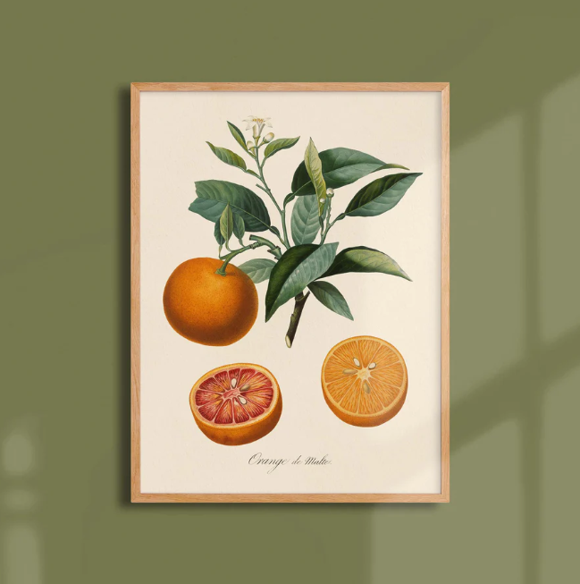 Poster A3 fruits - Atelier Bigarade