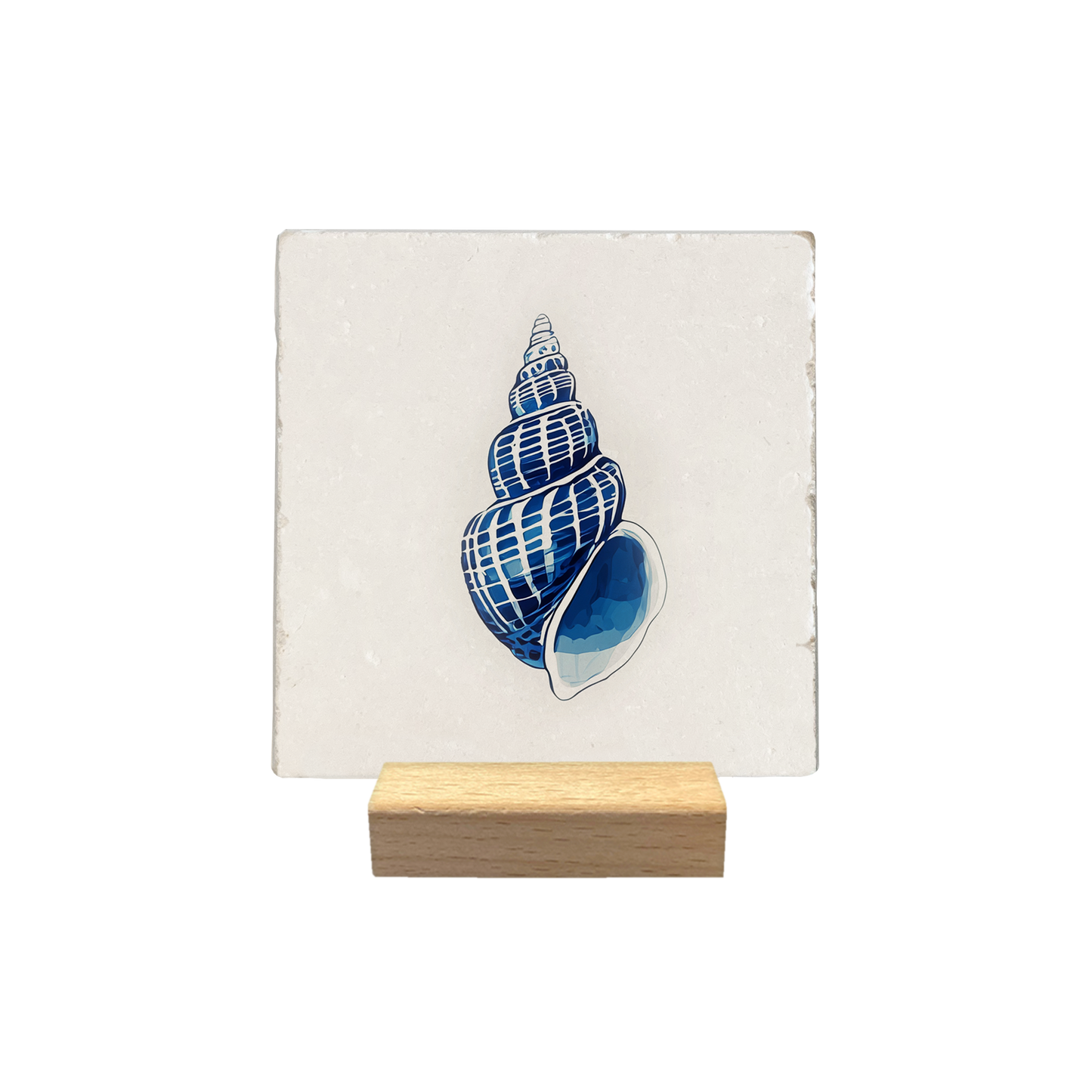 Carreau Shell en pierre naturelle européenne | Décoration murale poétique