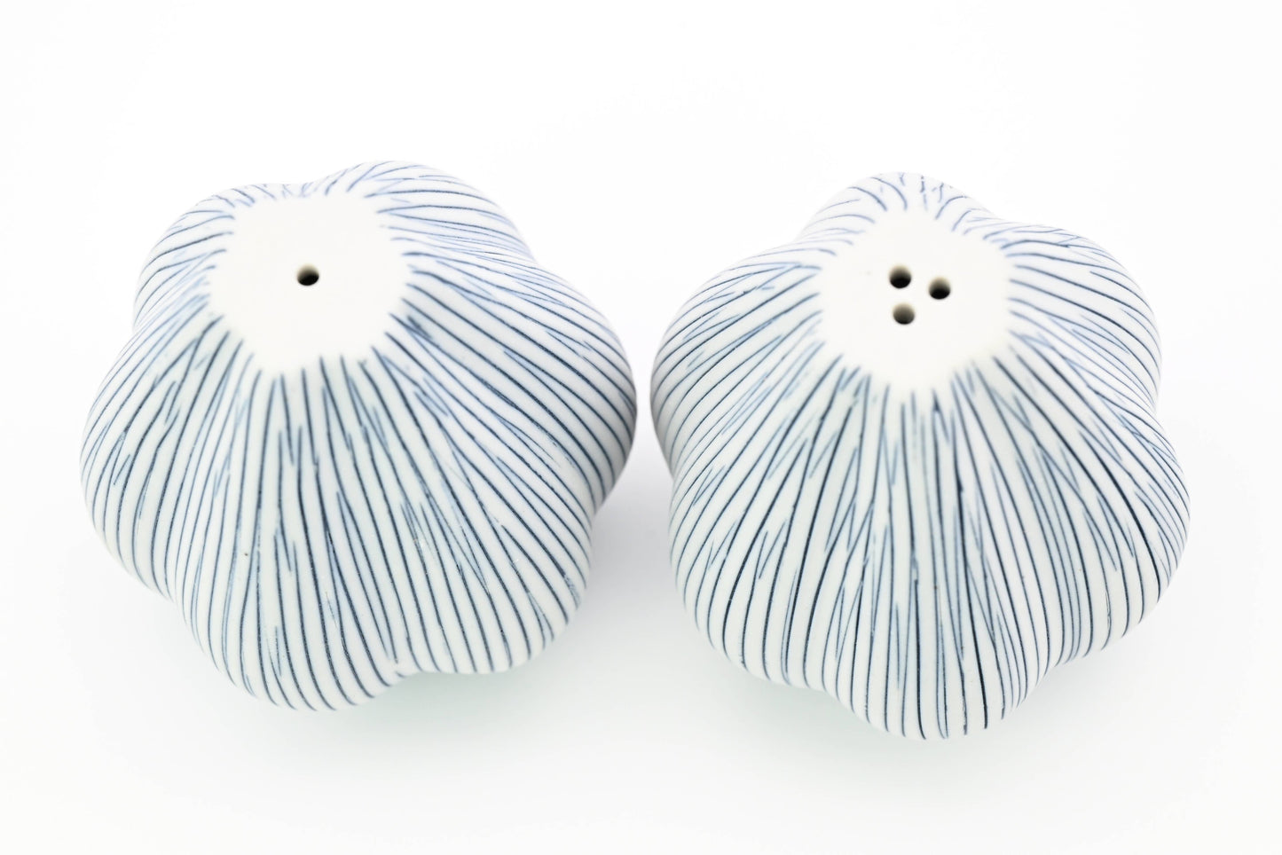 Set de salière et poivrière en porcelaine artisanale Champa de Art Floral Trading LLC, élégantes et détaillées.