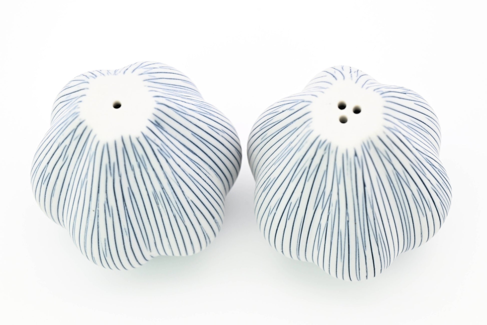 Set de salière et poivrière en porcelaine artisanale Champa de Art Floral Trading LLC, élégantes et détaillées.