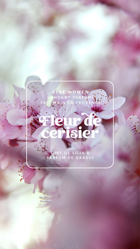 Fondants parfumés Fleur de cerisier - Cire parfumée 6 carrés
