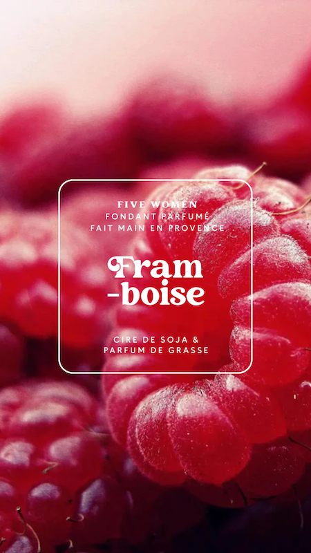 Fondants parfumés Framboise - Cire à faire fondre