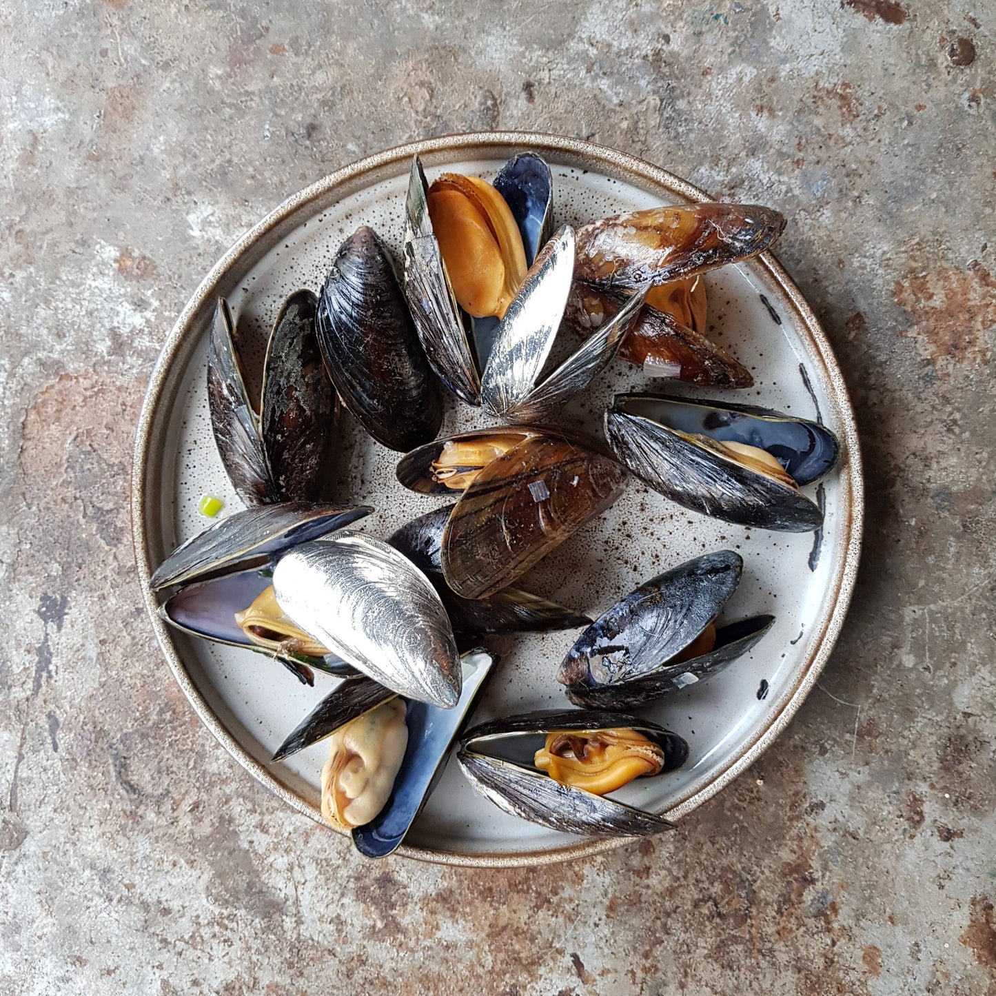 Couverts à moules de Zeeland en étain pur